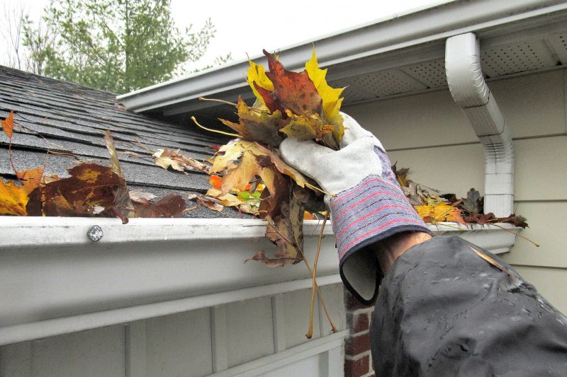When to Schedule Gutter Service
