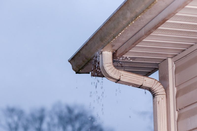 Signs You Need Gutter Service